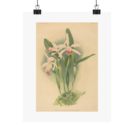 Vintage Botanical Print - Floral Vertical Poster - Botanical Wall Art for Home Décor - Floral Wall Art