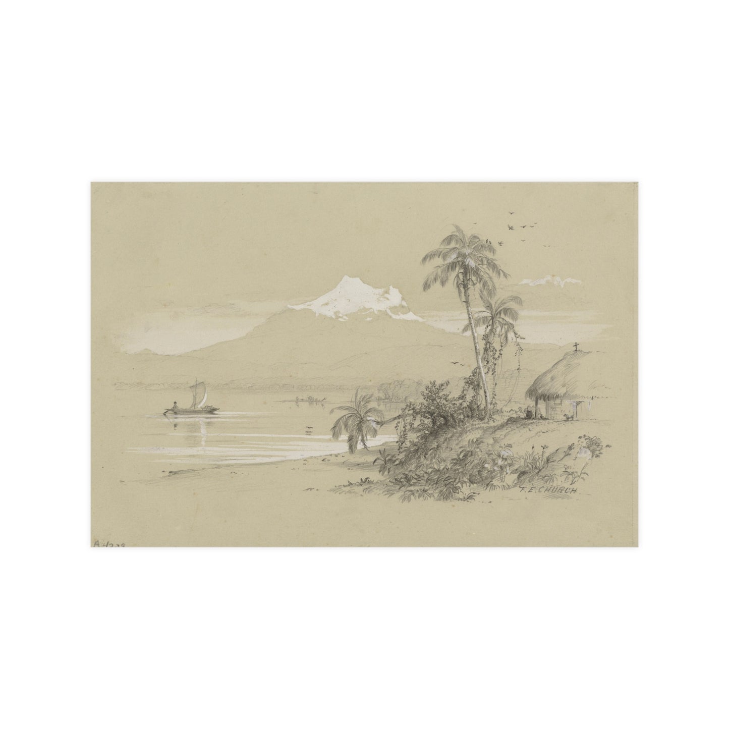 Magdalena River South America - Tropical Landscape Fine Art Poster