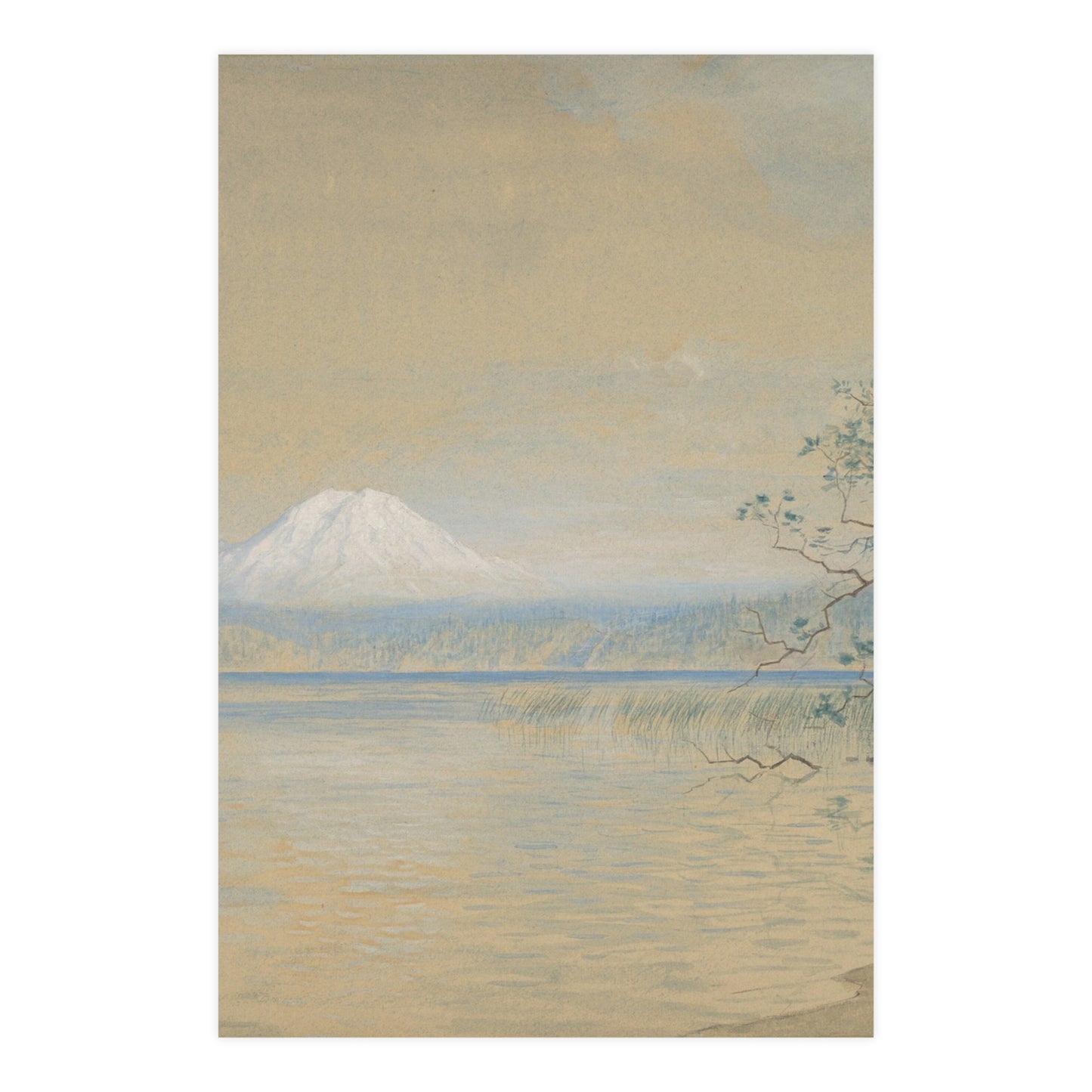 Mount Tacoma - Pacific Northwest Landscape Fine Art Poster