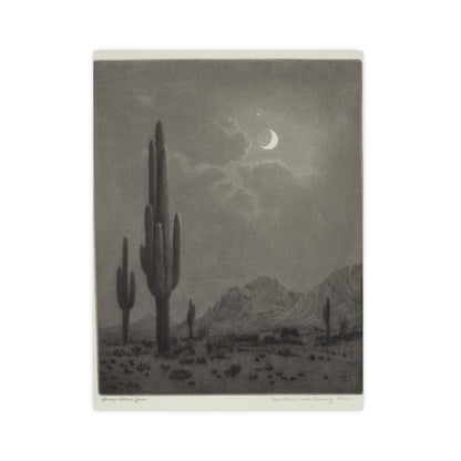 New Moon and Evening Star over Cactus- Celestial Fine Art Poster