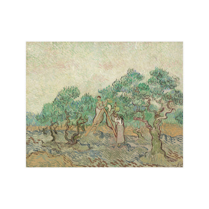 The Olive Orchard - Van Gogh Fine Art Poster