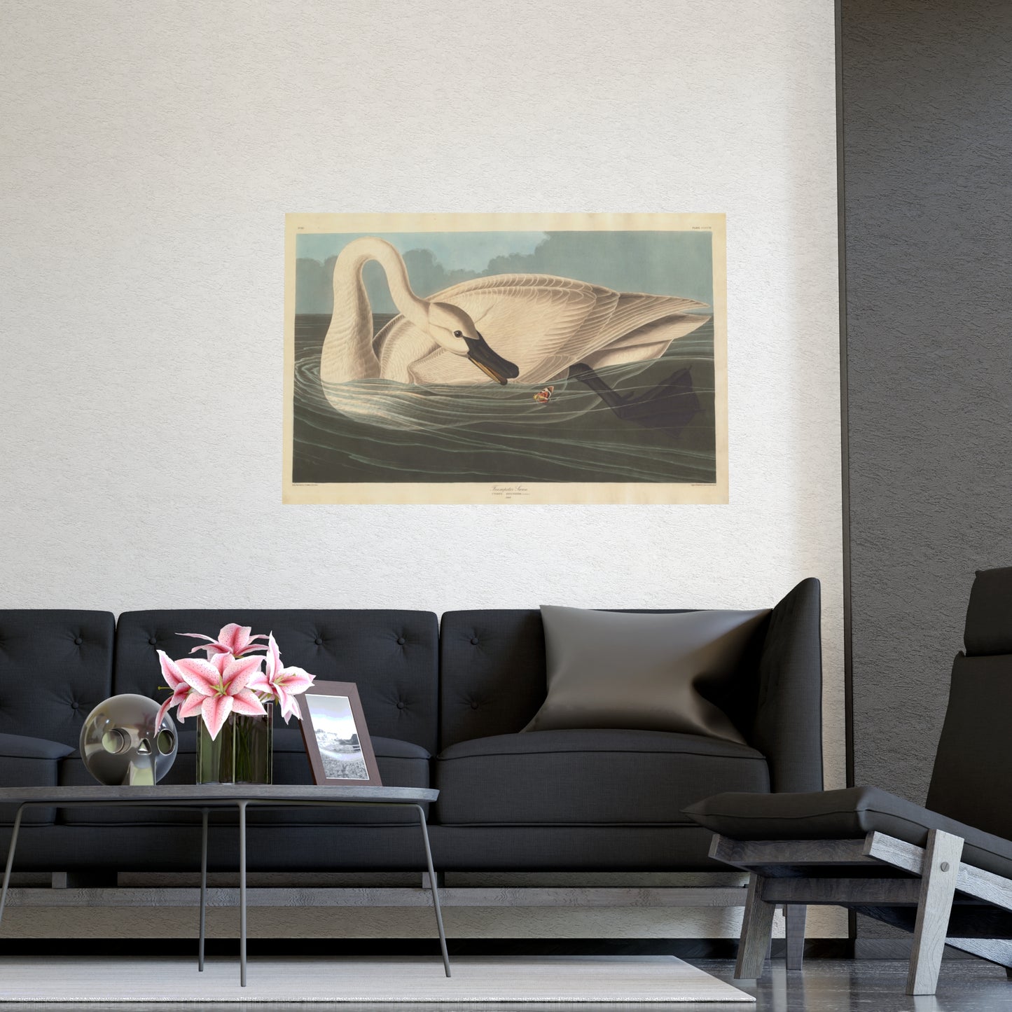 Trumpeter Swan - Audubon Fine Art Poster
