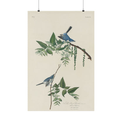 Vintage Bluebirds Botanical Print - Nature-Inspired Art - Matte Vertical Poster with Bluebirds
