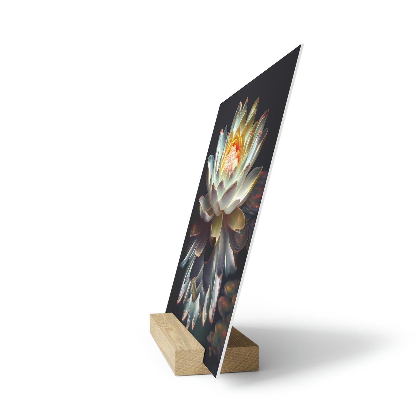 Iridescent Lotus Floating on Water - Gallery Board Print with Stand