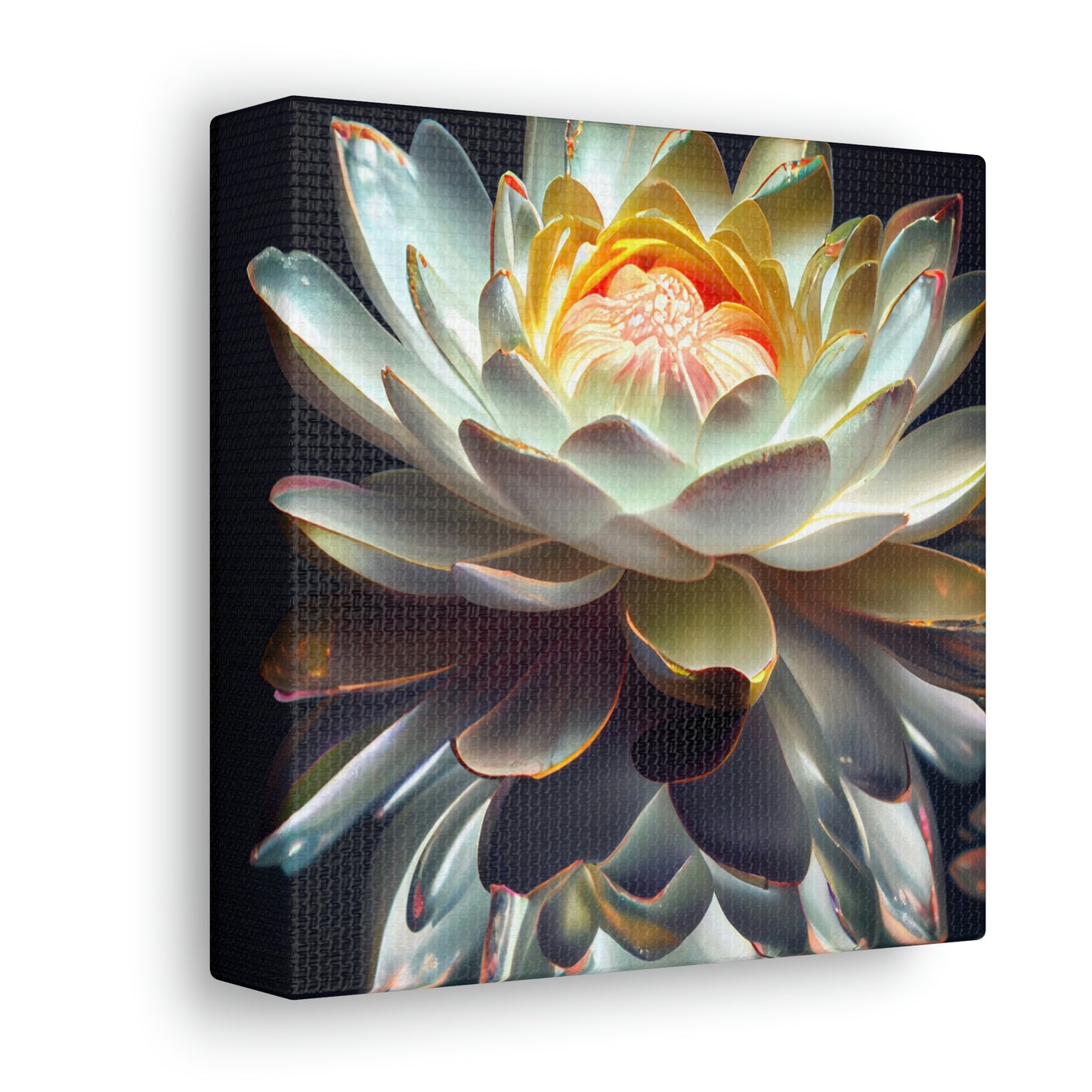 Iridescent White Lotus Floating on Water - Fine Art Print - Canvas Gallery Wraps
