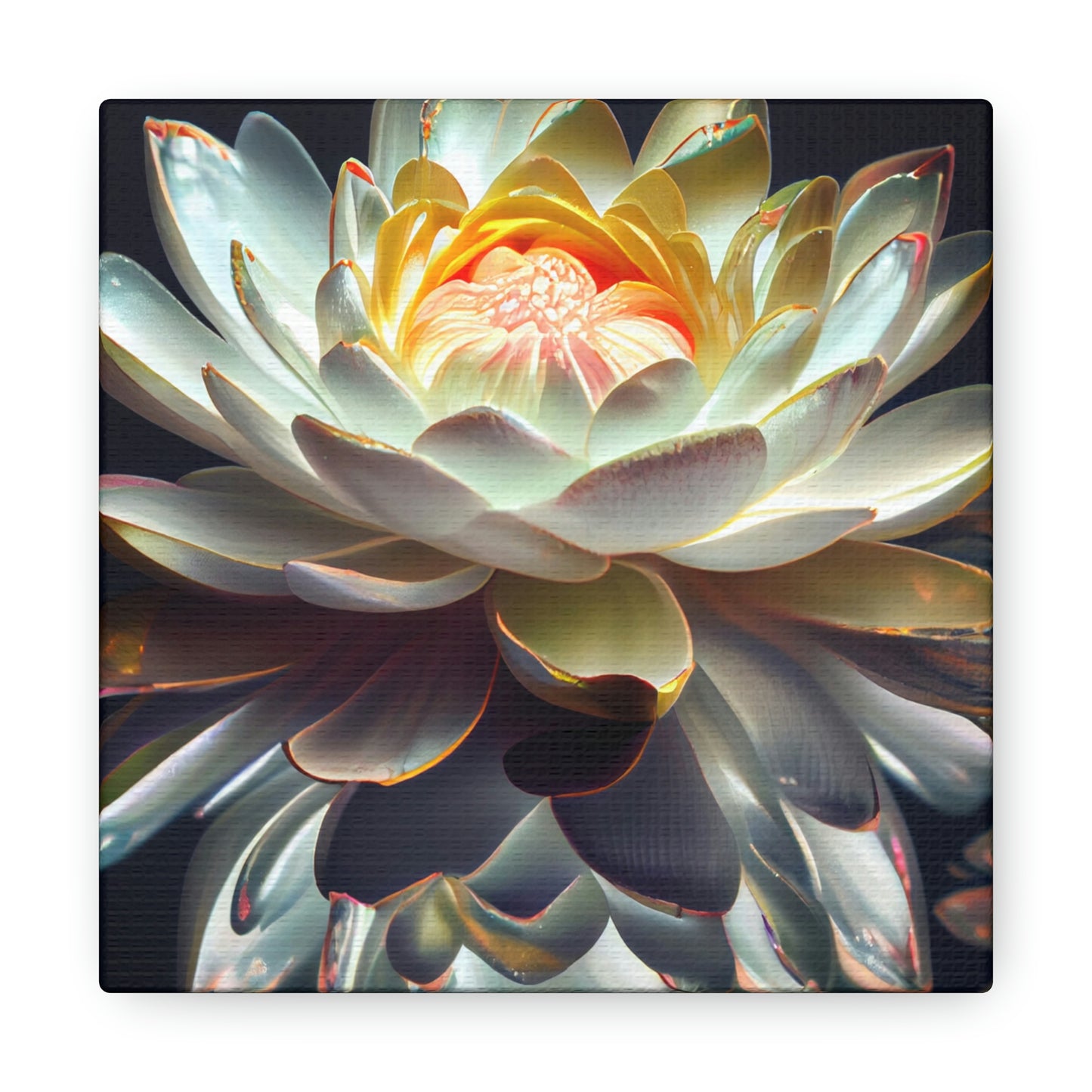 Iridescent White Lotus Floating on Water - Fine Art Print - Canvas Gallery Wraps