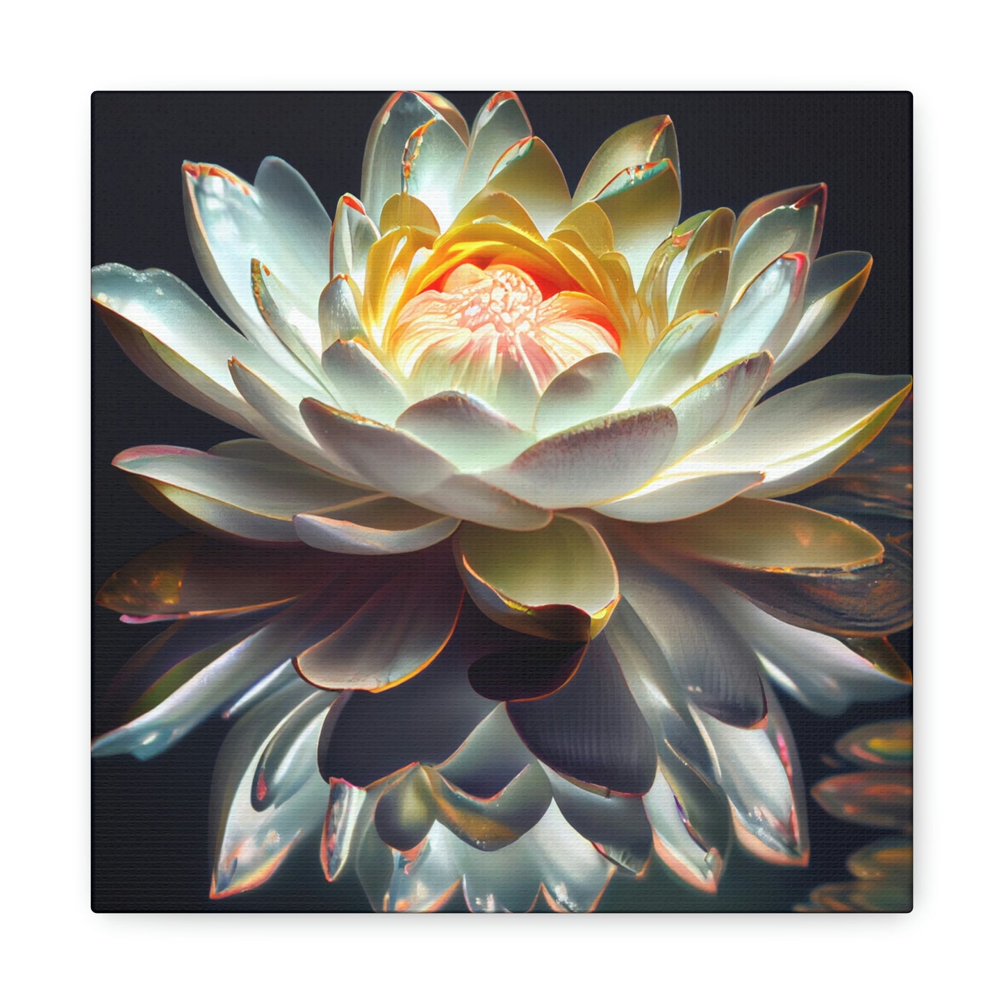 Iridescent White Lotus Floating on Water - Fine Art Print - Canvas Gallery Wraps